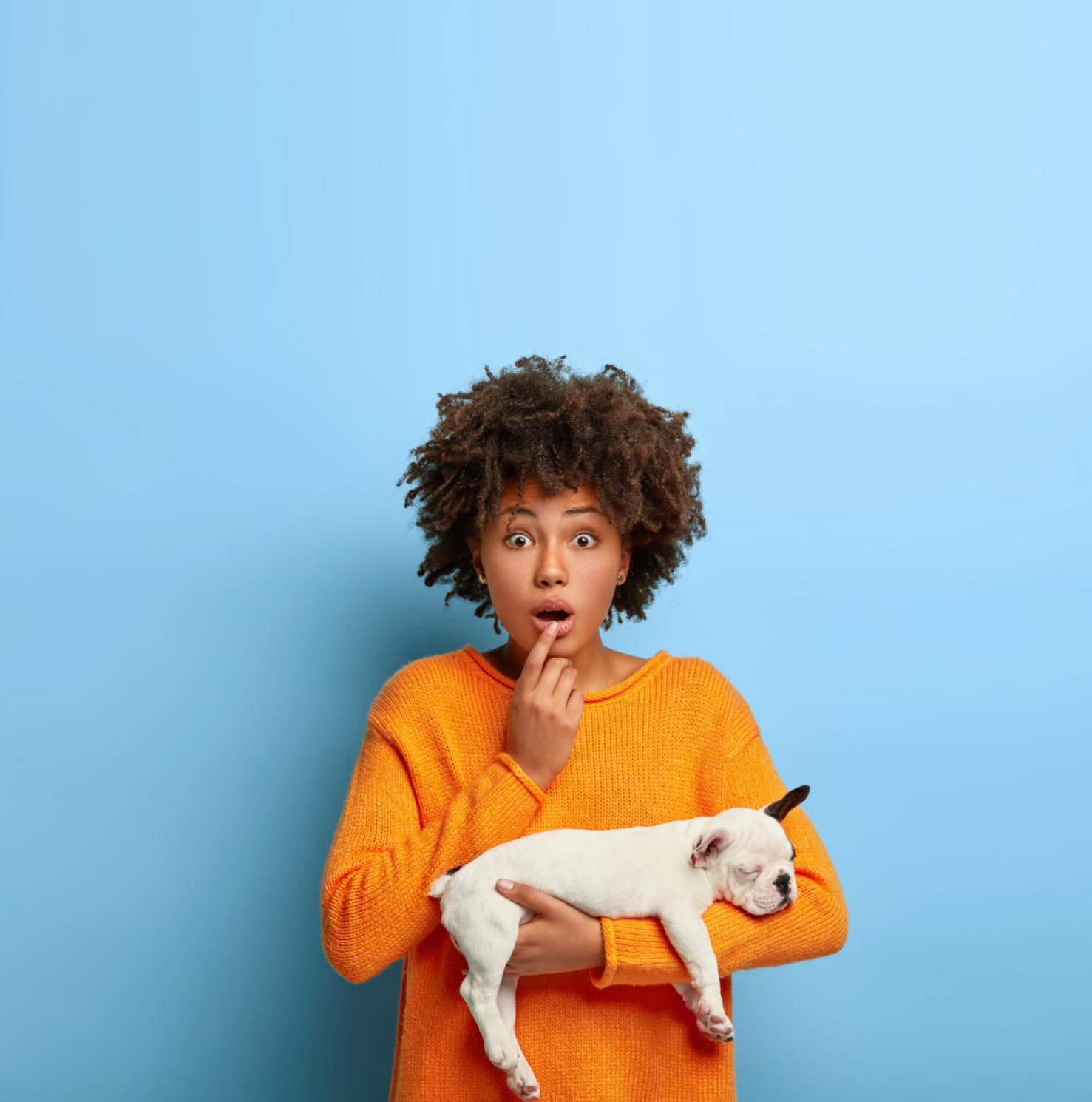 Why We Recommend a Mini Camera for Pets